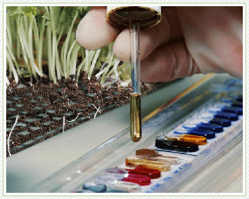 анализ грунта