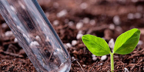 аналіз грунту